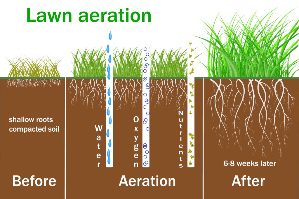 Unlocking the Power of Deep Tine Aeration Techniques by Greenway
